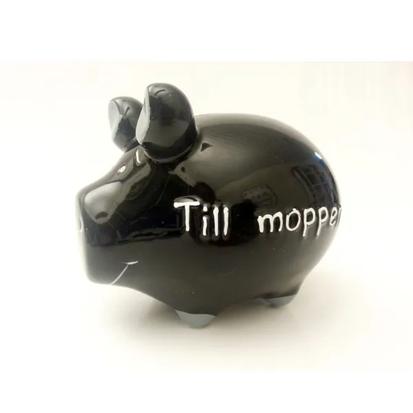 Spargris - Till moppen